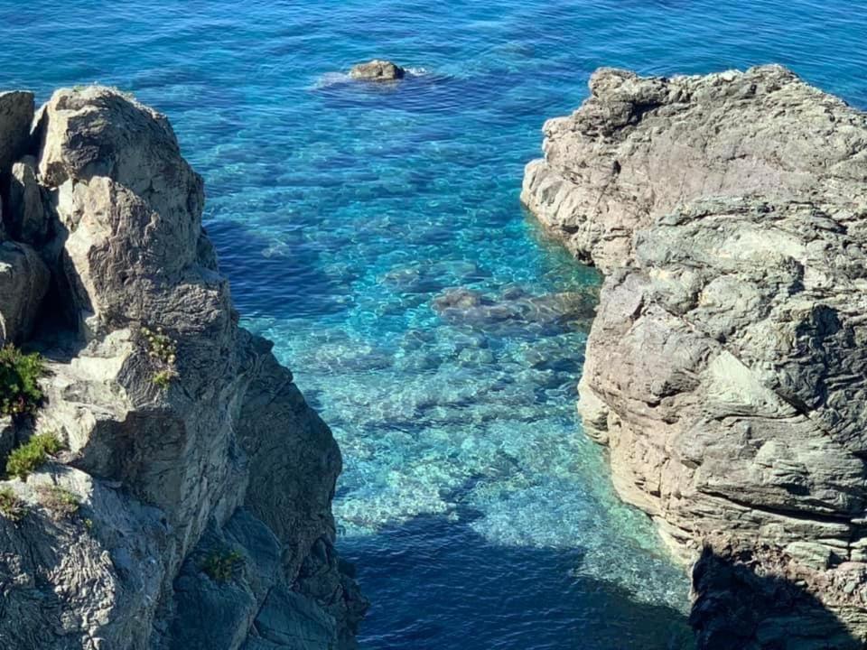 B&B Calabria Mare Falerna Εξωτερικό φωτογραφία